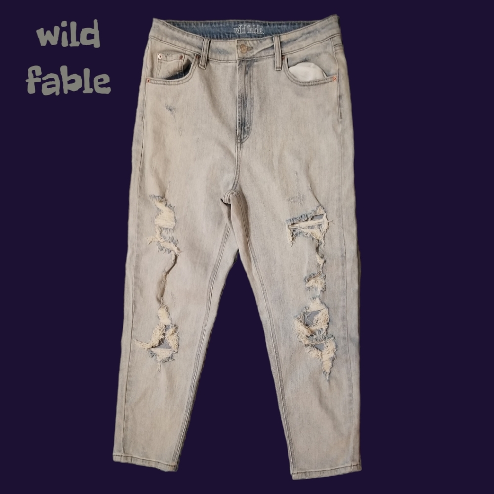 Wild Fable High Rise Mom Jean